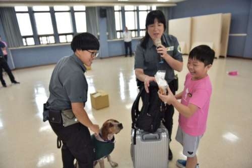 學童與檢疫犬Jazzy示範如何檢查遊客行李的違禁農產品