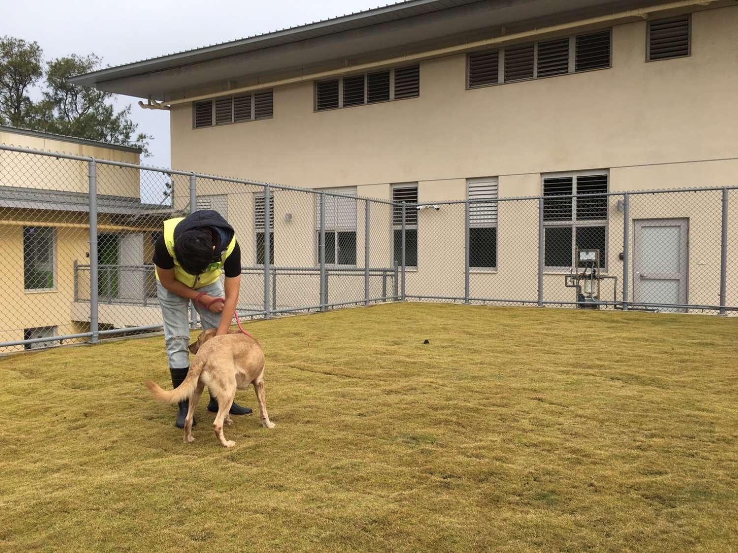 毛寶貝空間變5倍!新竹市動物保護教育園區下周六啟用 可收容超過400隻犬貓2