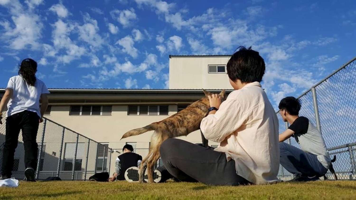 毛寶貝空間變5倍!新竹市動物保護教育園區下周六啟用 可收容超過400隻犬貓3