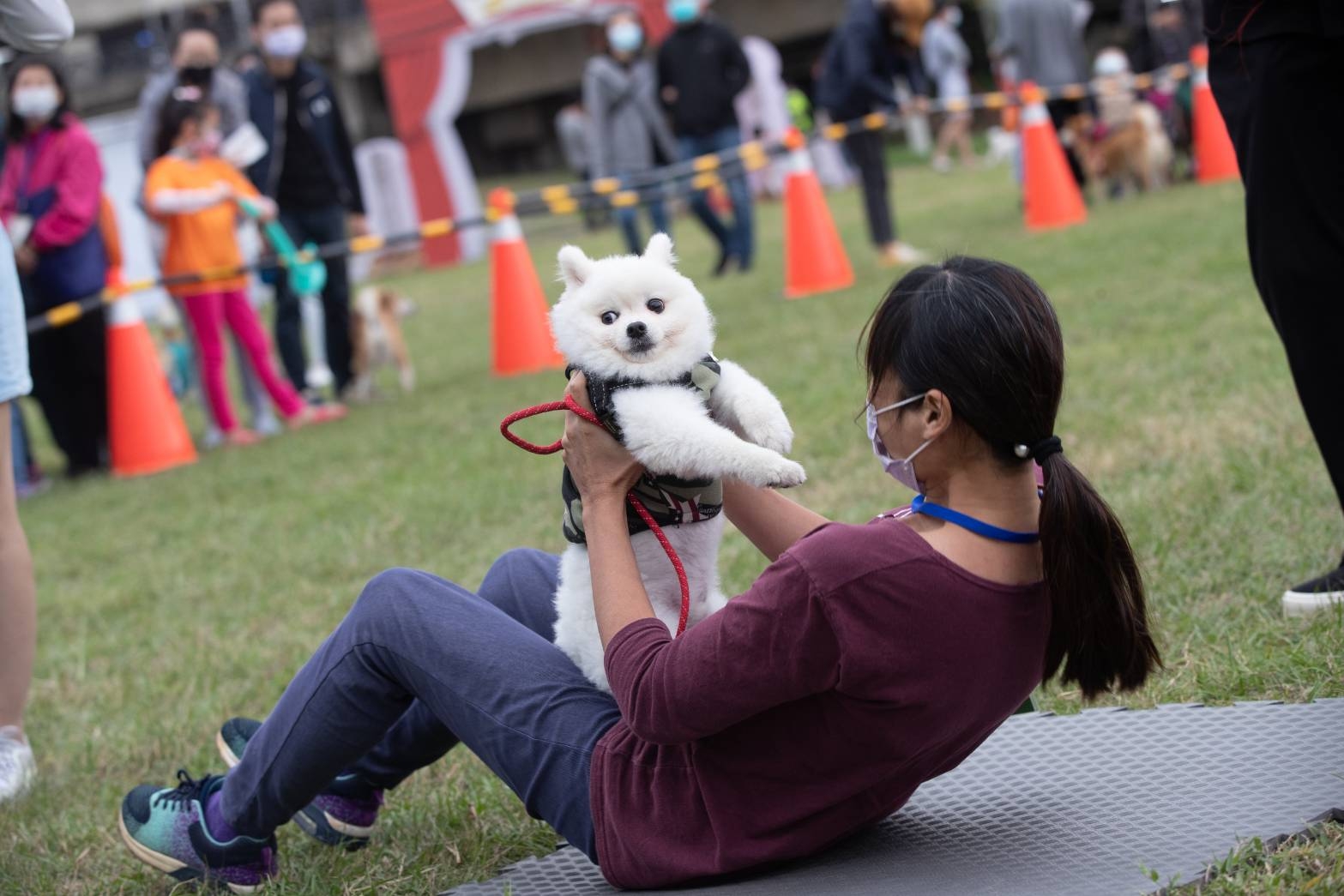 百隻狗狗「毛寶貝同樂會」競技開趴　免費疫苗注射、健康檢查打造友善動物城市