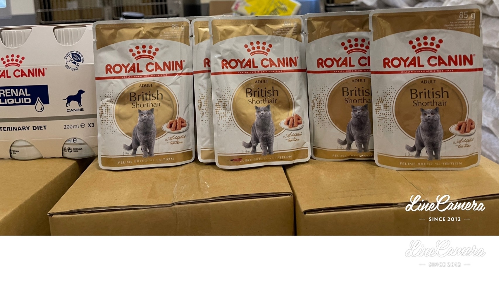 《感謝》台灣皇家寵物食品公司(法國皇家)捐贈犬貓乾糧及濕糧飼料乙批